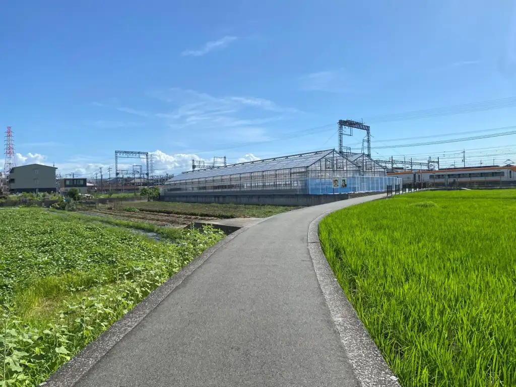 2024年光纤通信行业技术标准更新及对设备选型的影响