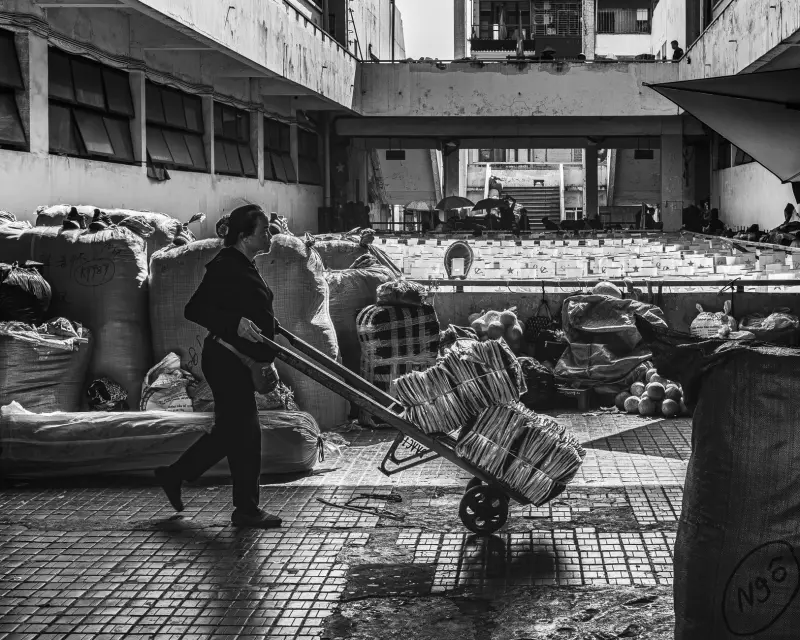 辽宁地区光纤通信工程中光交箱的常见配置方案